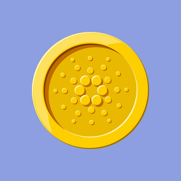 blank image info